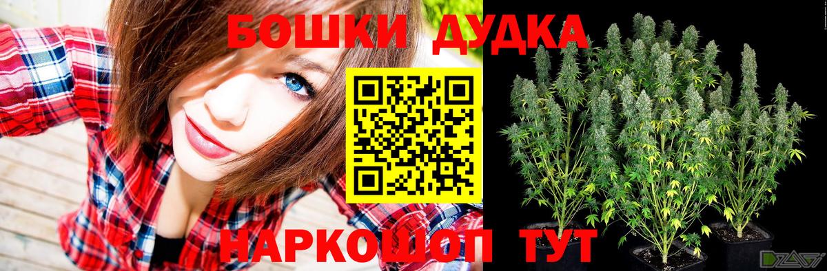 Гурьевск  Каннабис планчик  Канабис OG Kush  Вход с VPN  Канабис MAZAR 